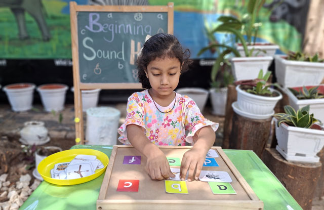 Wise Whales "The risk takers"