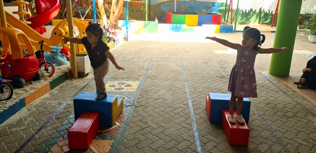 Dancing Dolphins (2-3 Years)