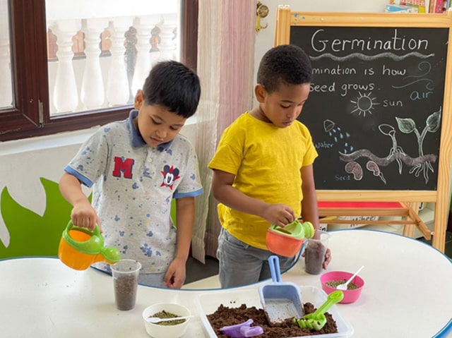 Wise Whales (4-5 Years)