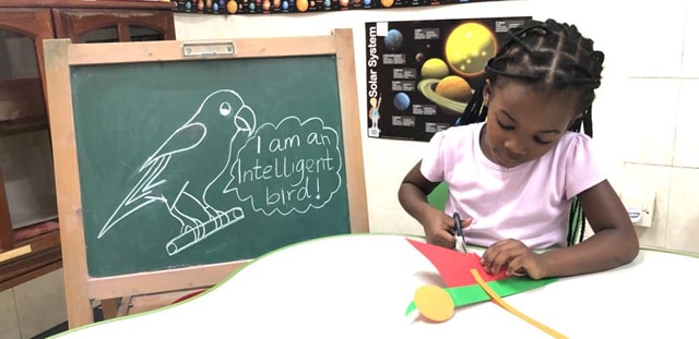 Smart Sharks (5-6 Years)